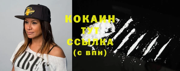 ешки Новодвинск