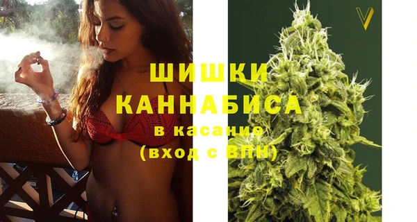 ешки Новодвинск
